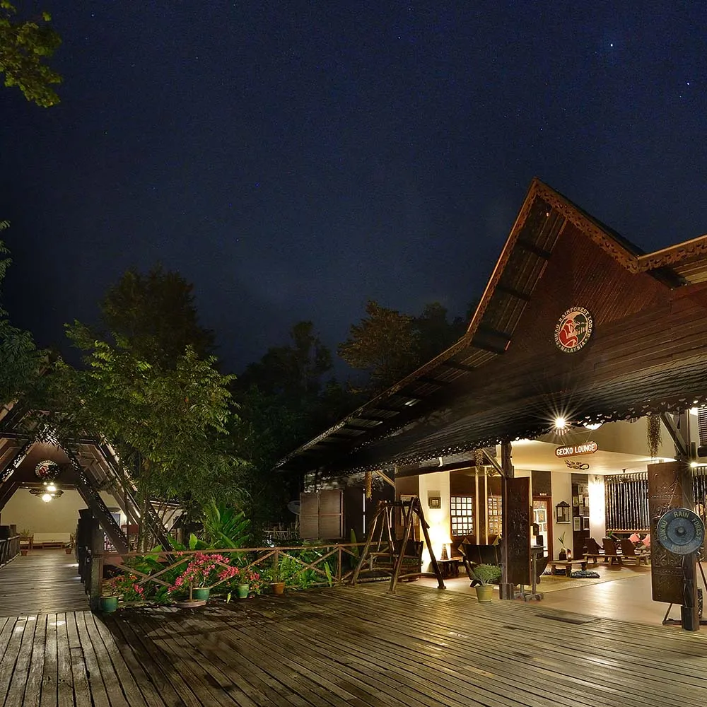 Top Attractions - Sukau Rainforest Lodge