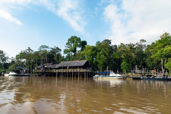 Kinabatangan Wildlife Safari (Villa) - Day 3