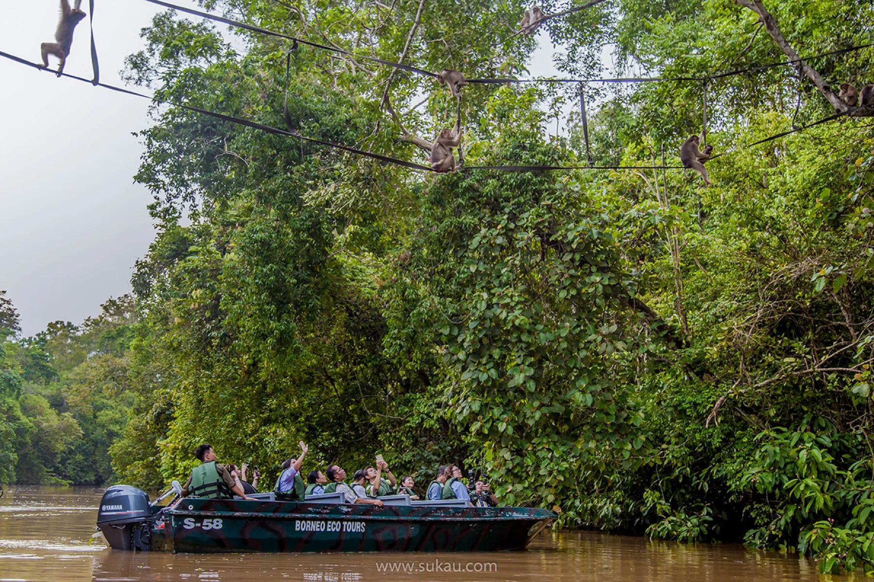 Wildlife cruise