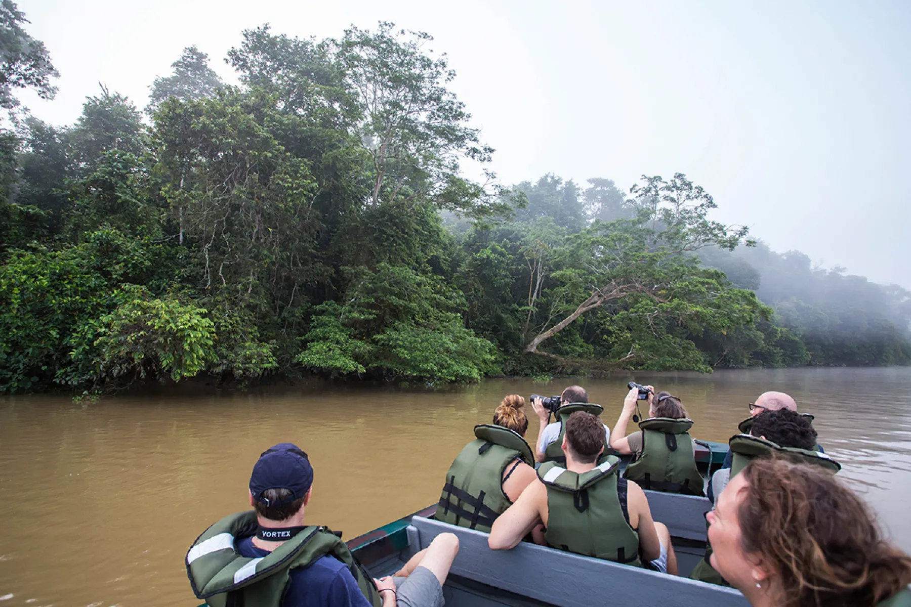 River cruising in the Lower Kinabatangan