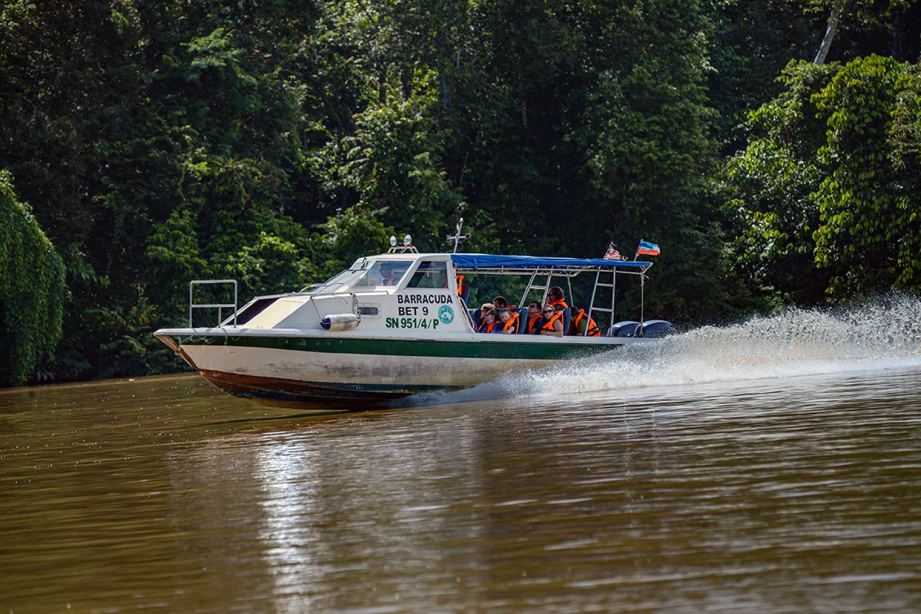 Speedboat tour from Sandakan to Sukau