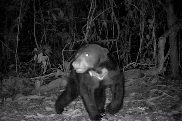 Utan Wildlife Experience - Day 3
