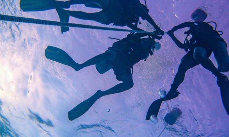 3 Boat Dives & Unlimited Shore Dives