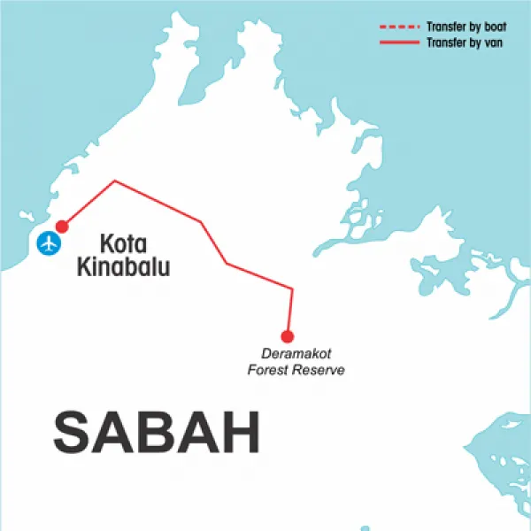 Kinabalu and Deramakot Wildlife - Day 1