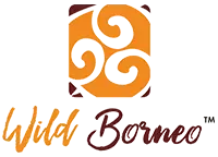 Wild Borneo